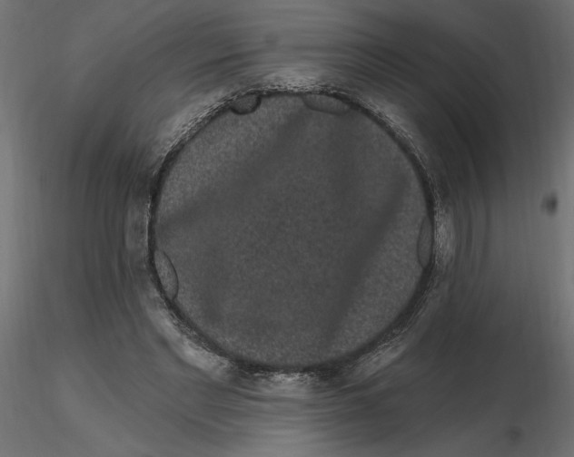 X0000116570493200912311956