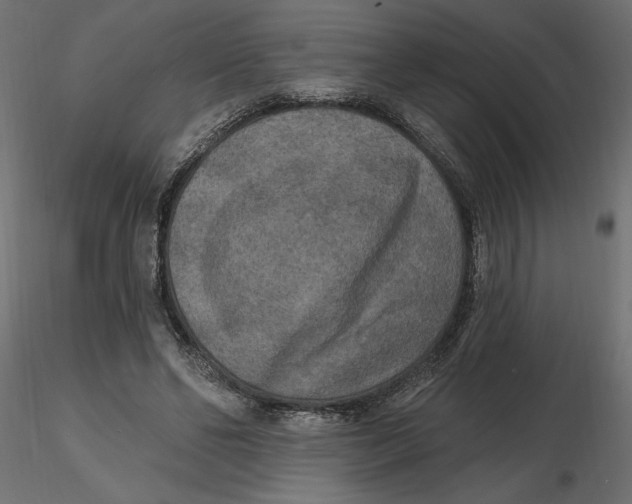 X0000116570494200912311956