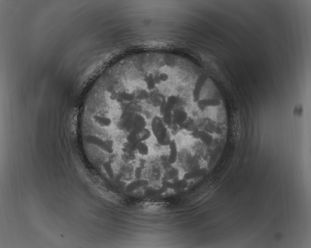 X0000116570495200912311956