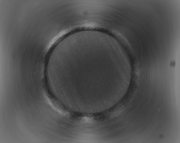 X0000116570496200912311956