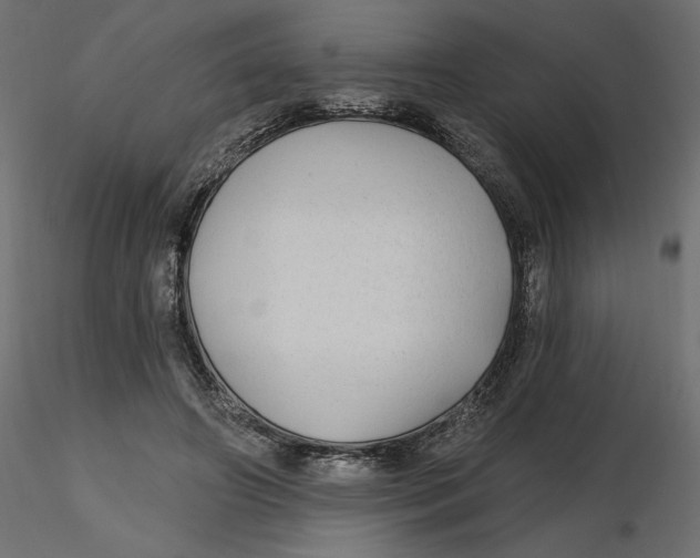 X0000116570498200912311956