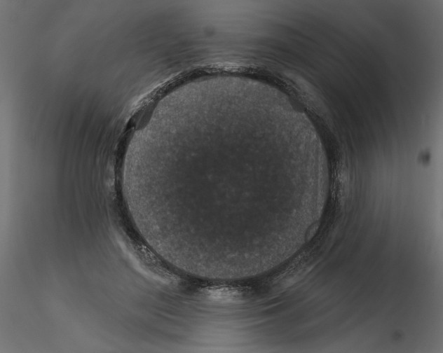 X0000116570500200912311956