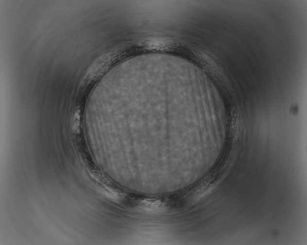 X0000116570502200912311956