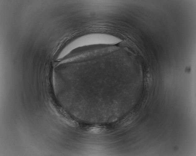 X0000116570504200912311956