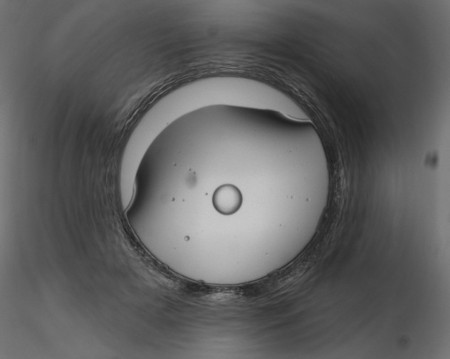 X0000116570505200912311956