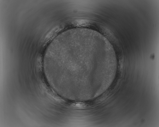 X0000116570506200912311956