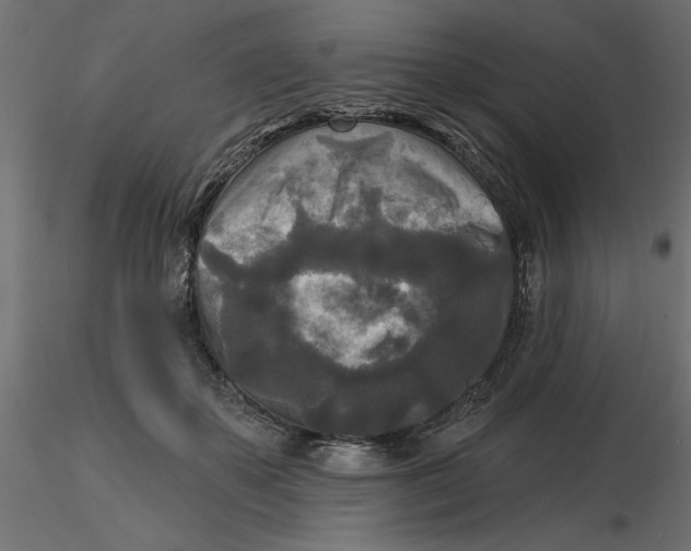 X0000116570507200912311956