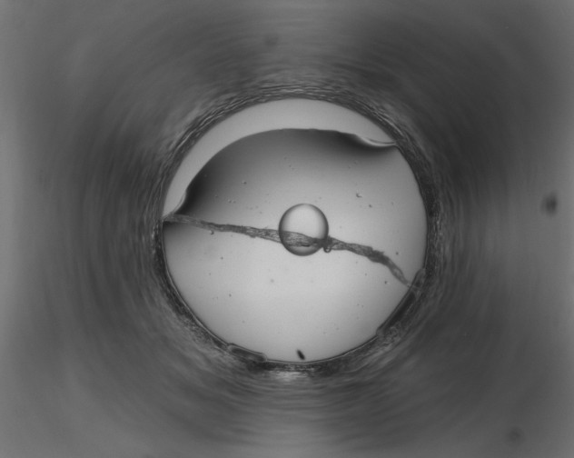 X0000116570509200912311956