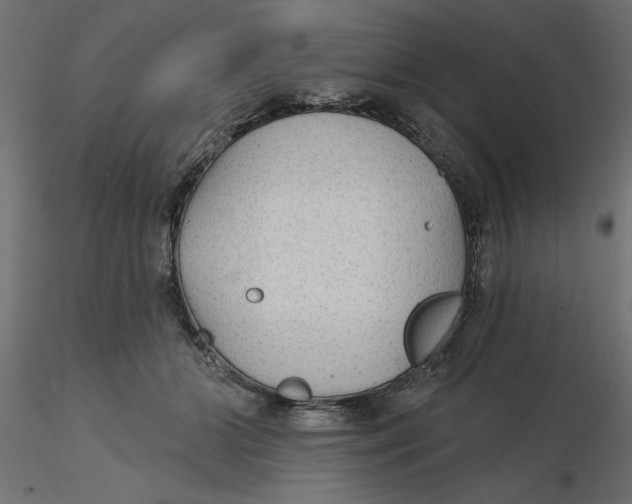 X0000116570510200912311956