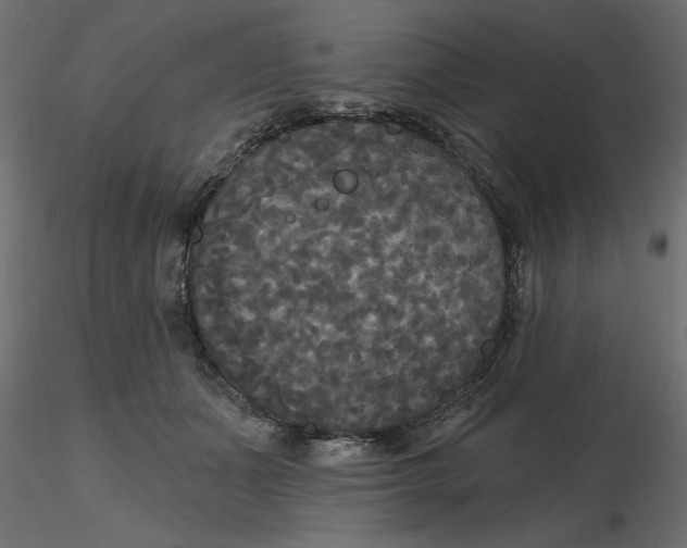 X0000116570511200912311956