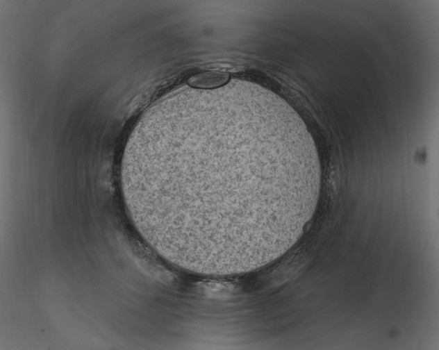 X0000116570512200912311956