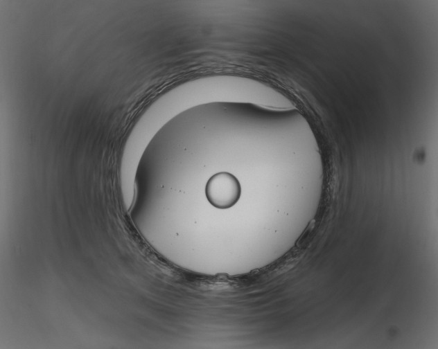 X0000116570513200912311956