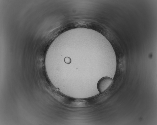 X0000116570514200912311956