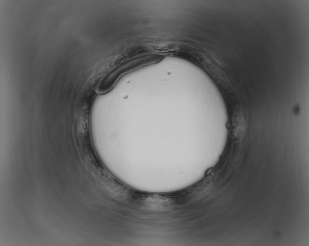 X0000116570515200912311956