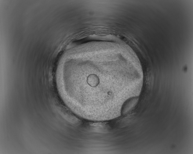 X0000116570516200912311956