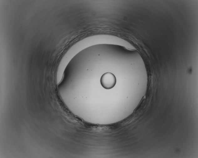 X0000116570517200912311956