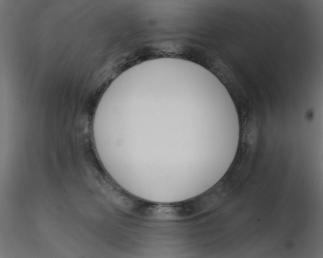 X0000116570518200912311956