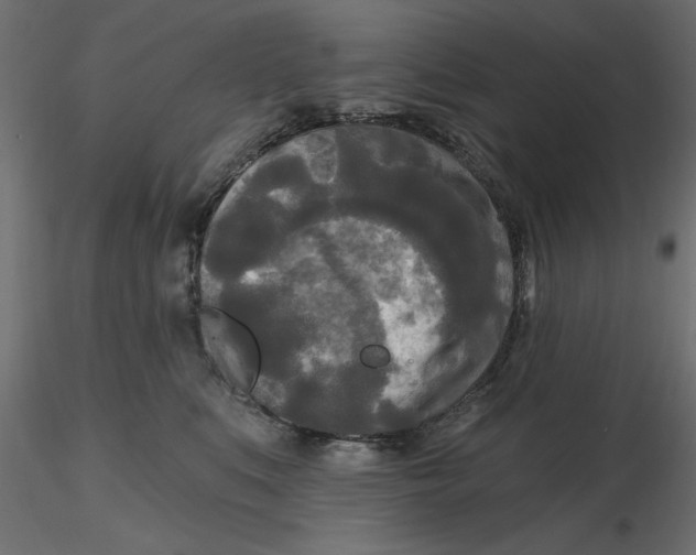 X0000116570519200912311956