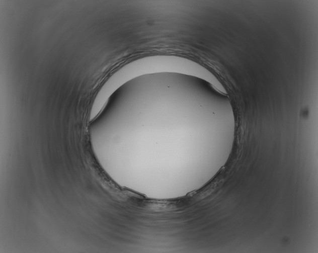 X0000116570521200912311956