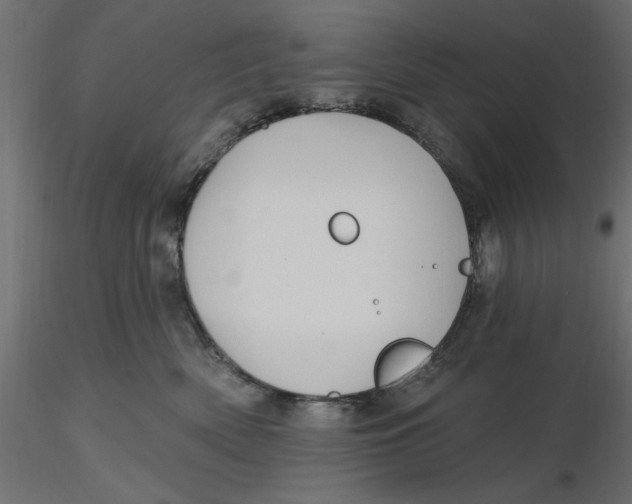 X0000116570522200912311956