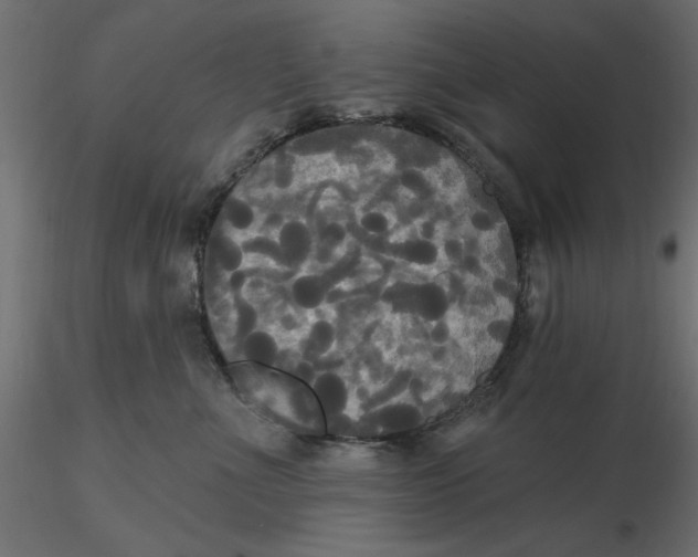 X0000116570523200912311956