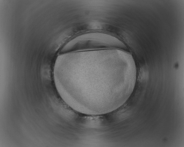 X0000116570524200912311956