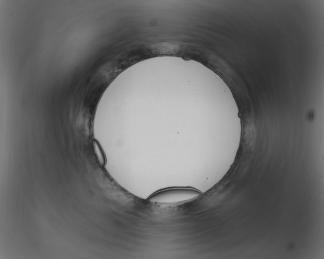 X0000116570525200912311956