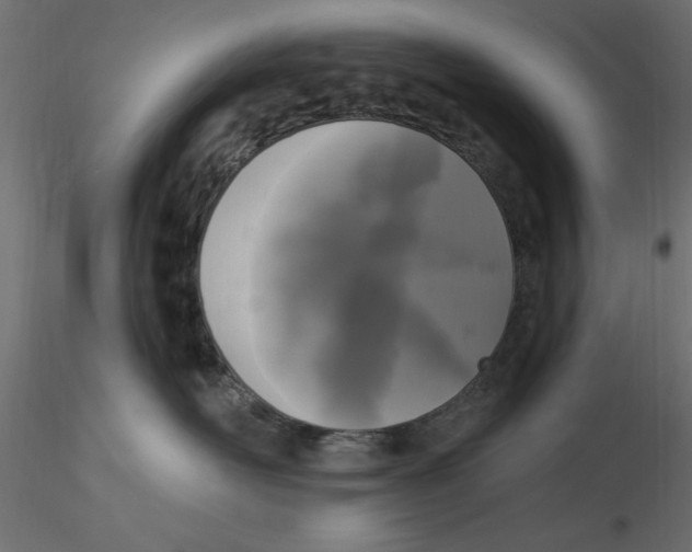 X0000116570526200912311956