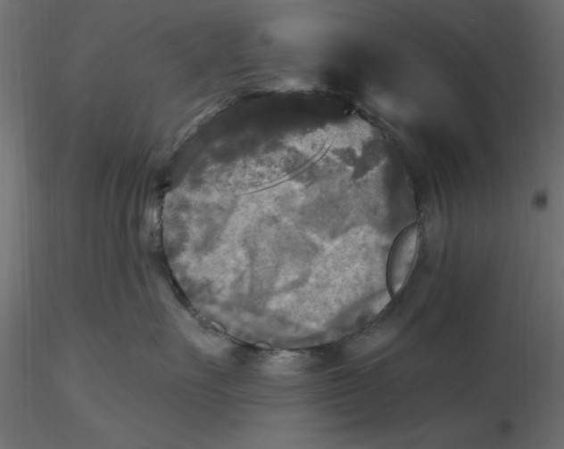 X0000116570527200912311956