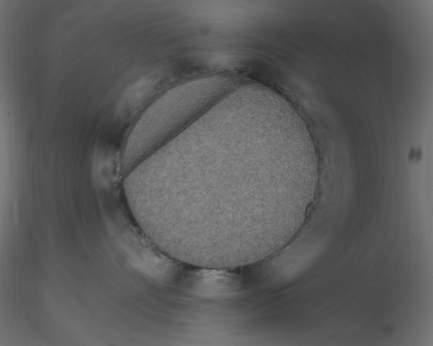 X0000116570528200912311956