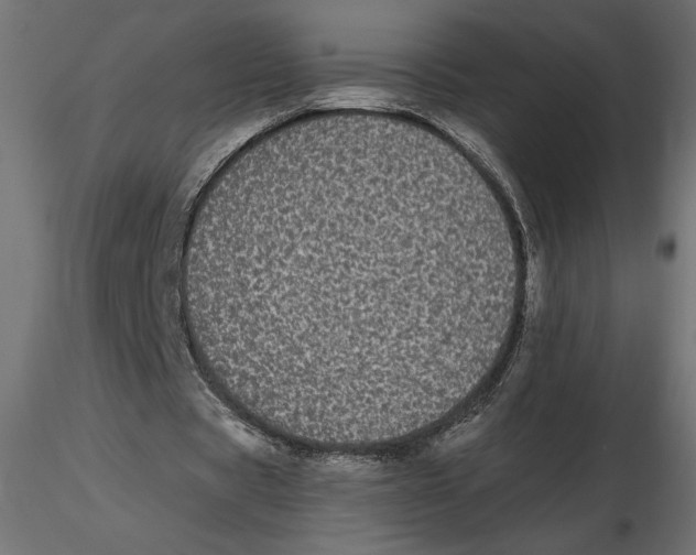 X0000116570529200912311955