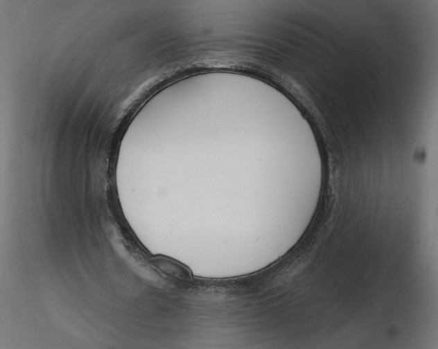 X0000116570530200912311955