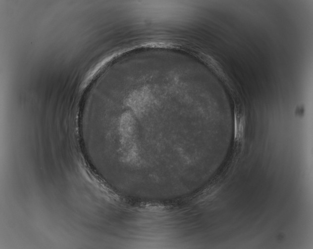 X0000116570531200912311955