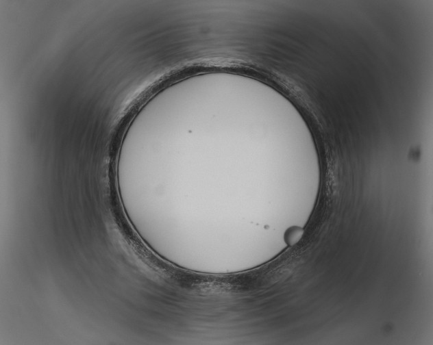 X0000116570535200912311955