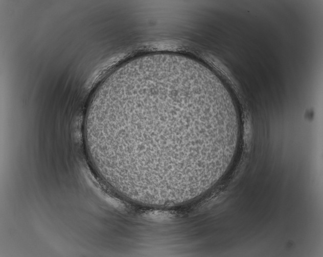 X0000116570537200912311955