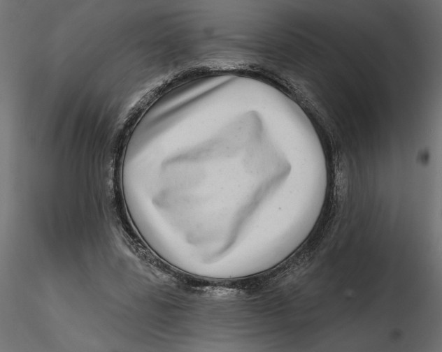 X0000116570539200912311955