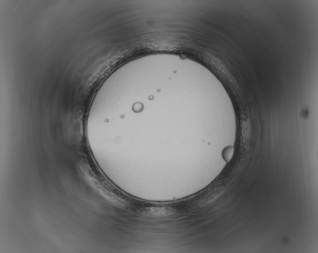 X0000116570541200912311955