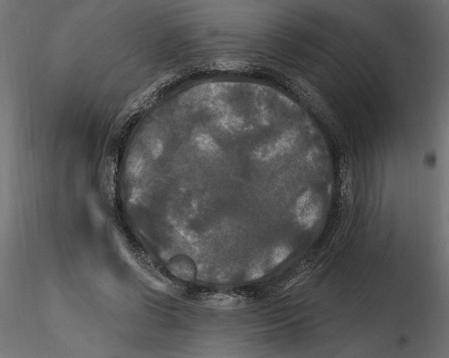 X0000116570542200912311955