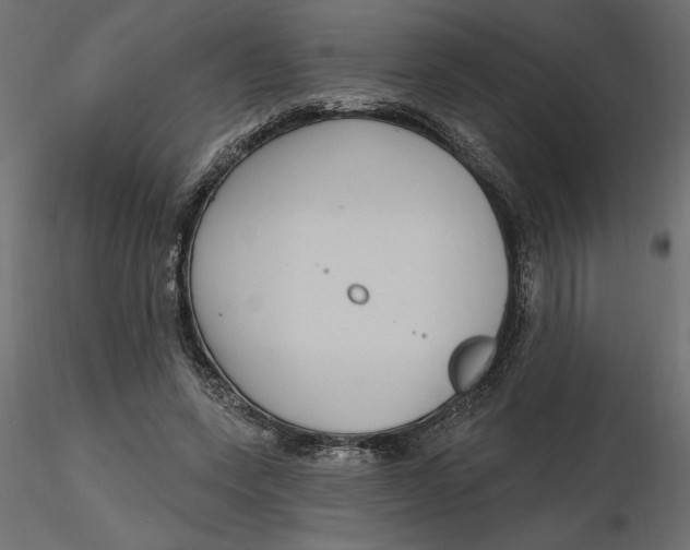 X0000116570543200912311955