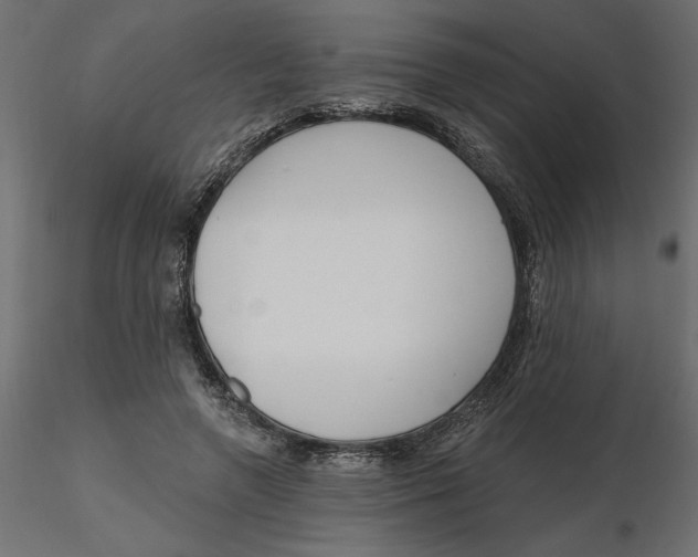 X0000116570546200912311955