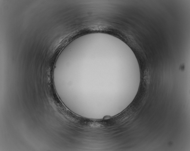 X0000116570547200912311955