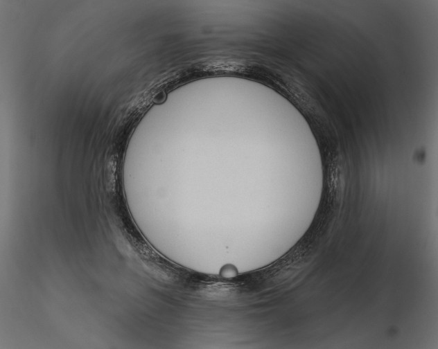 X0000116570551200912311955