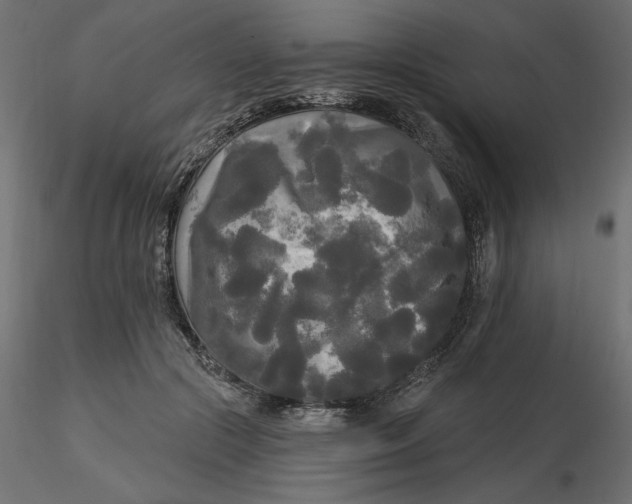 X0000116570553200912311956