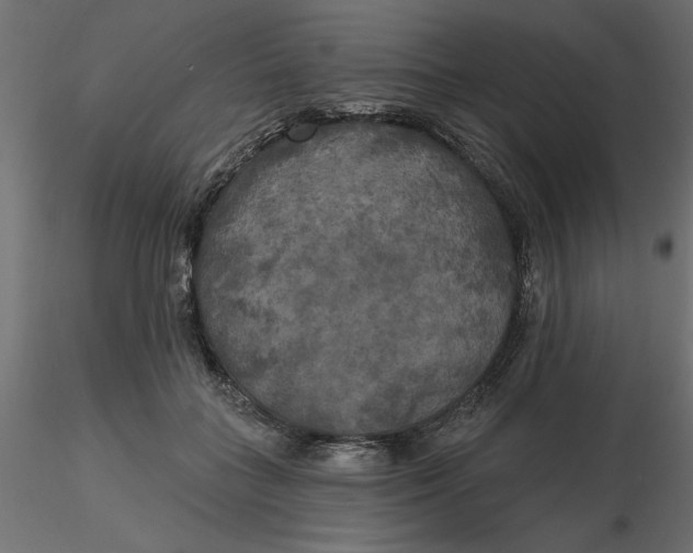 X0000116570555200912311956