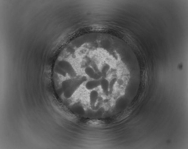 X0000116570557200912311956