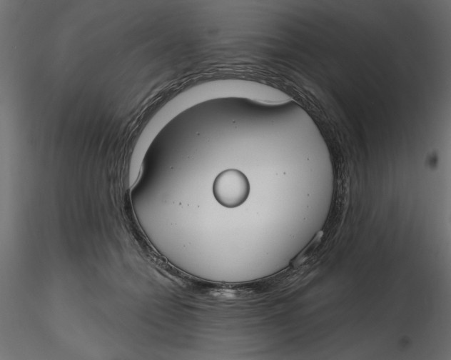 X0000116570558200912311956