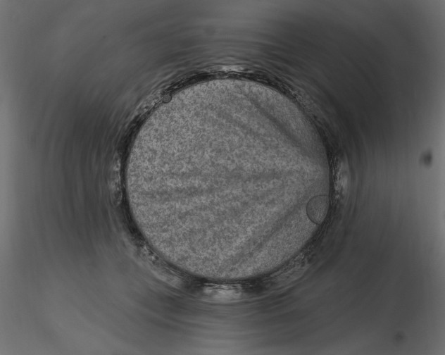 X0000116570559200912311956