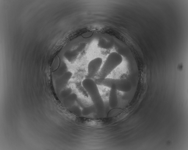 X0000116570561200912311956