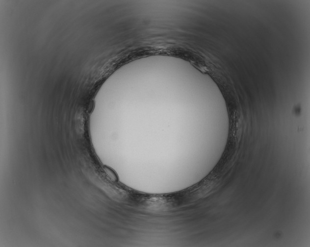 X0000116570562200912311956