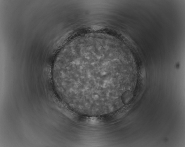 X0000116570565200912311956